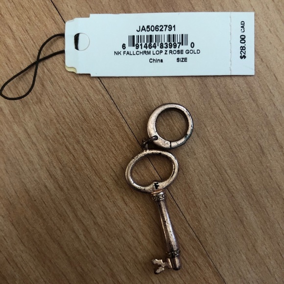 Fossil RoseGold Charm Starter Necklace w Key Charm - Picture 3 of 5